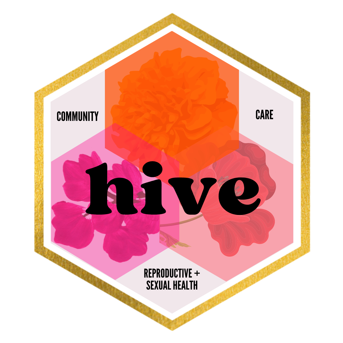 Classes — Hive Community
